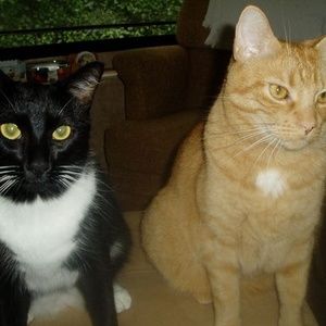 Meet your Posher, Susan